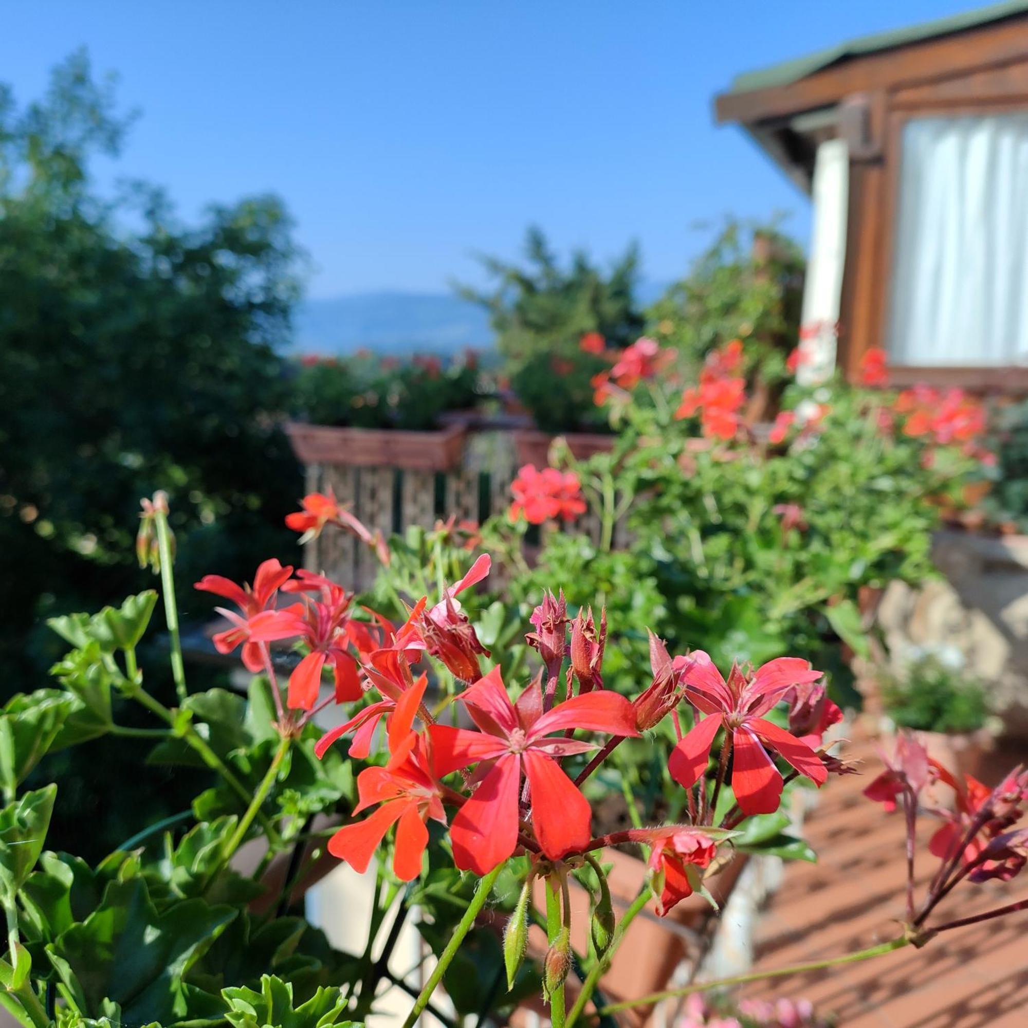 Casa Vacanza In Casentino Bibbiena Zewnętrze zdjęcie